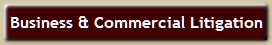 Business and Commercial Litigation