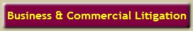 Business and Commercial Litigation